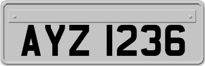 AYZ1236