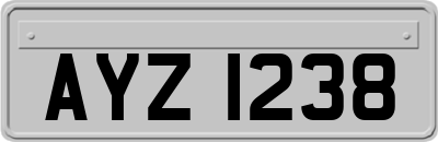 AYZ1238