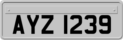 AYZ1239