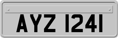 AYZ1241