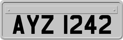 AYZ1242
