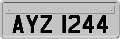 AYZ1244