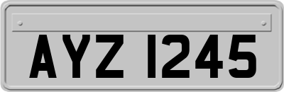 AYZ1245