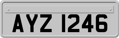 AYZ1246