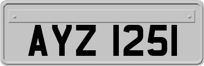 AYZ1251