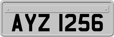 AYZ1256
