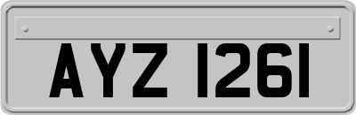 AYZ1261