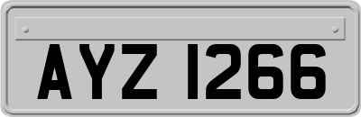 AYZ1266