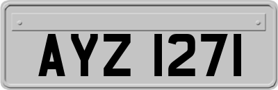 AYZ1271