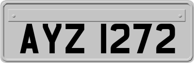 AYZ1272