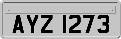 AYZ1273