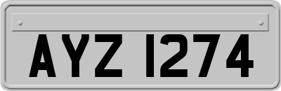 AYZ1274