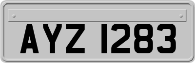 AYZ1283