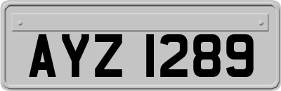 AYZ1289