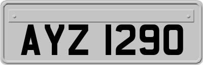 AYZ1290