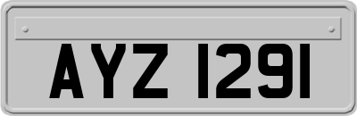 AYZ1291
