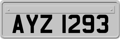 AYZ1293