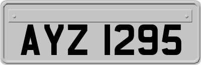 AYZ1295