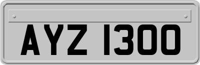 AYZ1300