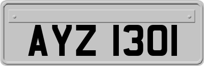 AYZ1301
