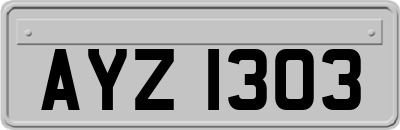 AYZ1303