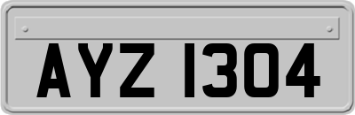 AYZ1304