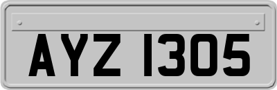 AYZ1305