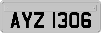 AYZ1306