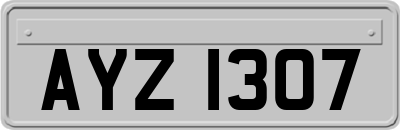 AYZ1307