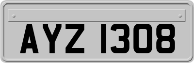 AYZ1308