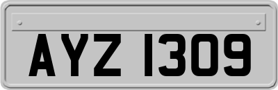 AYZ1309