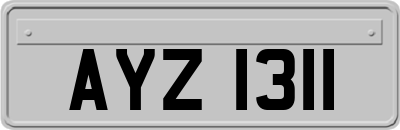 AYZ1311