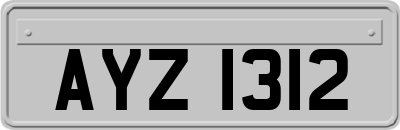 AYZ1312