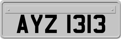 AYZ1313