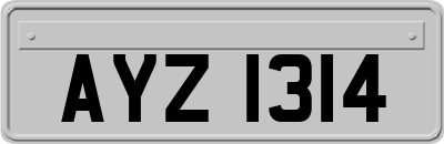 AYZ1314