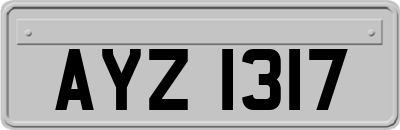 AYZ1317