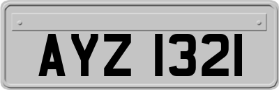 AYZ1321