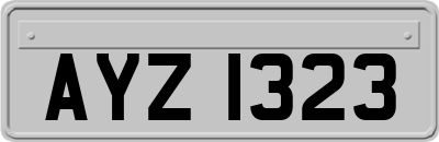 AYZ1323