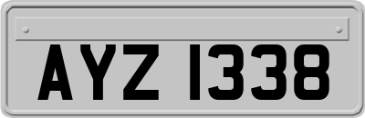 AYZ1338