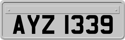 AYZ1339