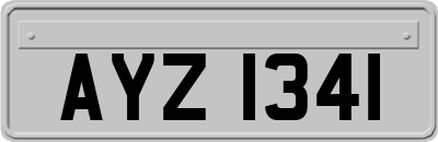 AYZ1341