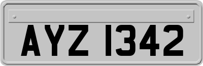 AYZ1342