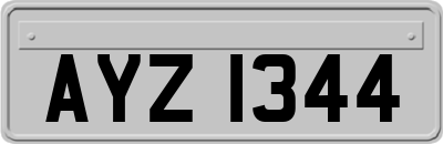 AYZ1344