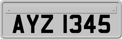 AYZ1345
