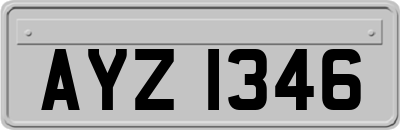 AYZ1346