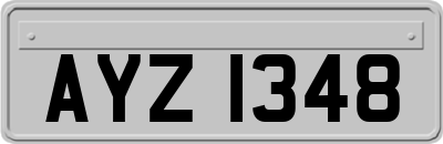 AYZ1348
