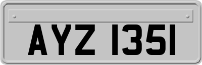 AYZ1351
