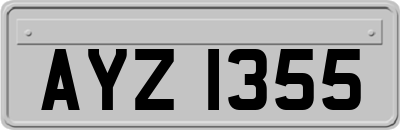 AYZ1355