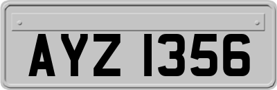 AYZ1356
