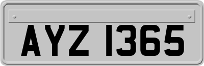 AYZ1365